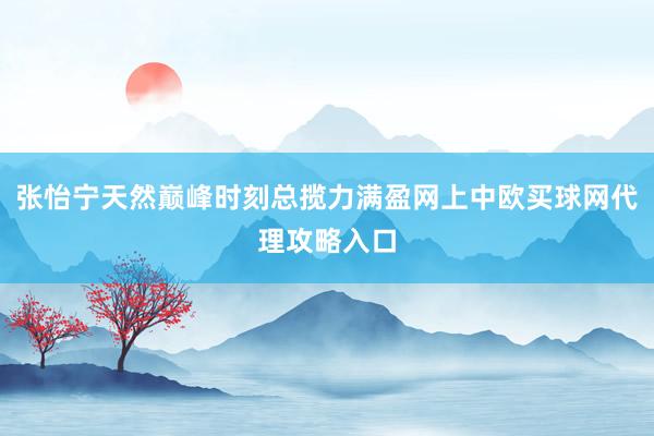 张怡宁天然巅峰时刻总揽力满盈网上中欧买球网代理攻略入口