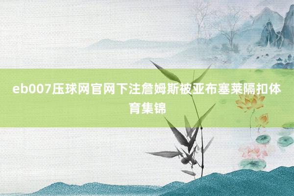 eb007压球网官网下注詹姆斯被亚布塞莱隔扣体育集锦
