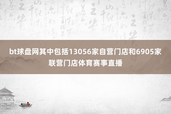 bt球盘网其中包括13056家自营门店和6905家联营门店体育赛事直播