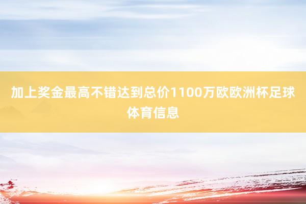 加上奖金最高不错达到总价1100万欧欧洲杯足球体育信息