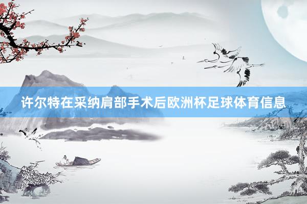 许尔特在采纳肩部手术后欧洲杯足球体育信息