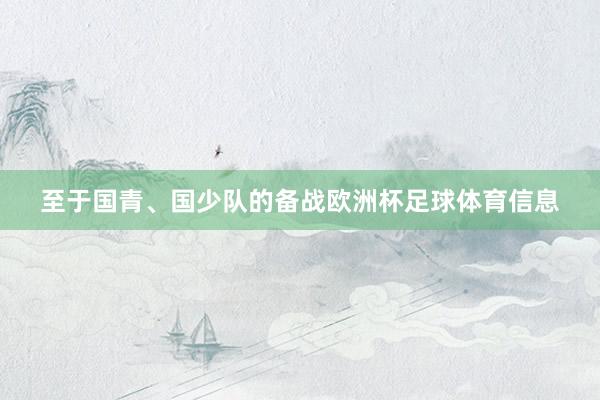 至于国青、国少队的备战欧洲杯足球体育信息